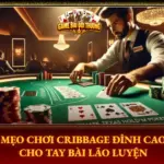Mẹo Chơi Cribbage Đỉnh Cao Cho Tay Bài Lão Luyện 6 Meo Choi Cribbage Dinh Cao Cho Tay Bai Lao Luyen Img