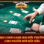 Mẹo Chơi Bài Đổi Thưởng Cho Người Mới Bắt Đầu 6 Meo Choi Game Bai Doi Thuong Cho Nguoi Moi Bat Dau Img